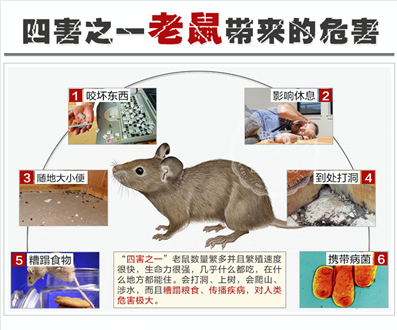 飼料廠防鼠滅鼠技術方案